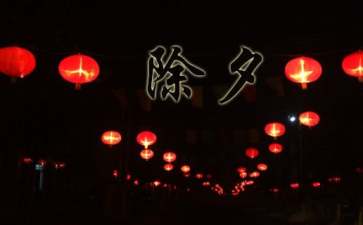 除夕之夜作文200字